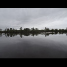 Am Wallamba River